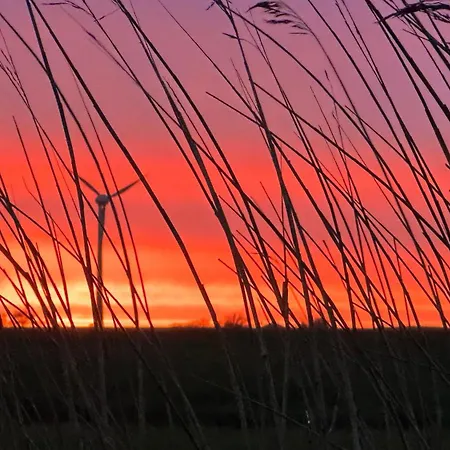 Heel Wat Besuenners Apartament