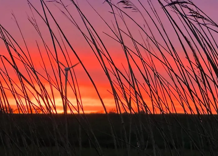 Heel Wat Besuenners Apartament